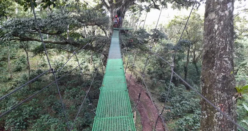 Mombacho Volcano 01- NicaTravelandTours