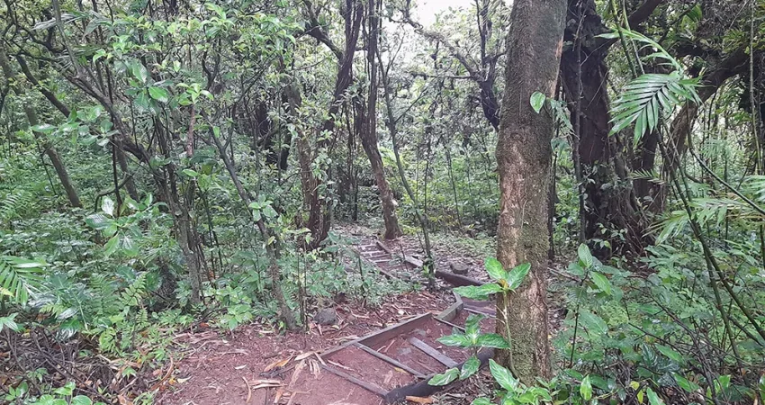 Mombacho Volcano 03- NicaTravelandTours